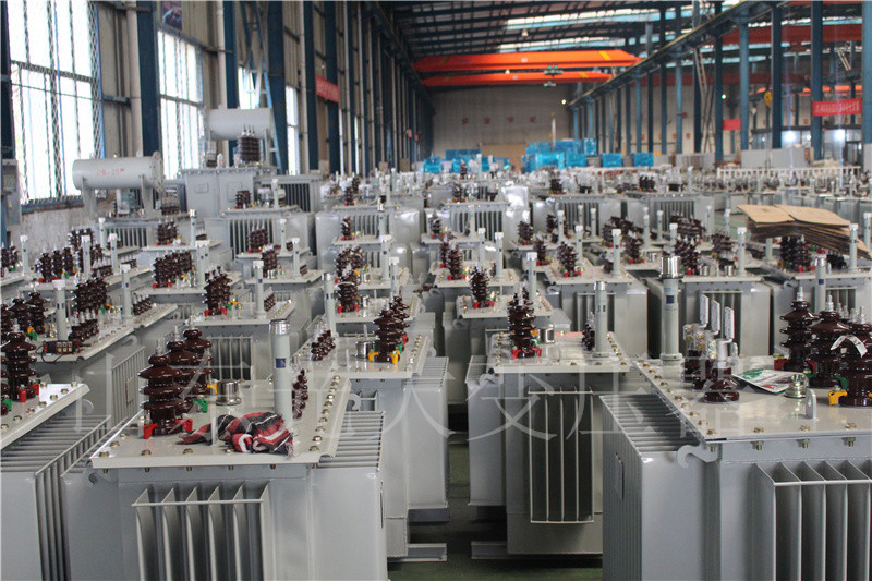 南靖S22-800KVA/10KV